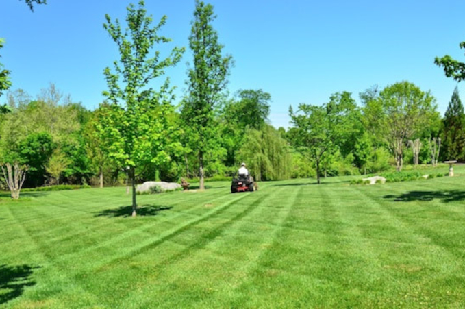 commercial and residential grass cutting