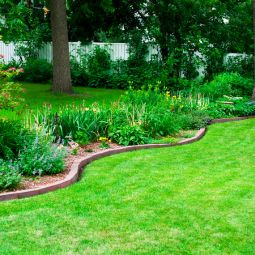 4 Landscaping Ideas to Steal to Transform Your Yard Space